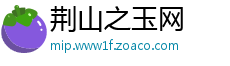 荆山之玉网