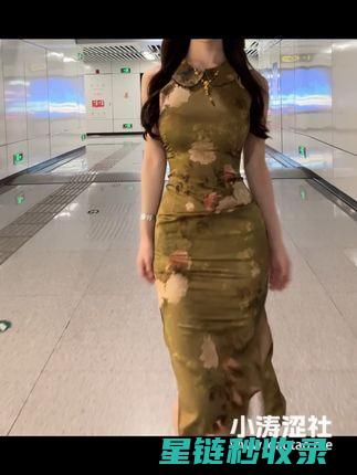独家揭秘：网站收录优化的核心方法与实例分析 (独家揭秘网文写作神器)