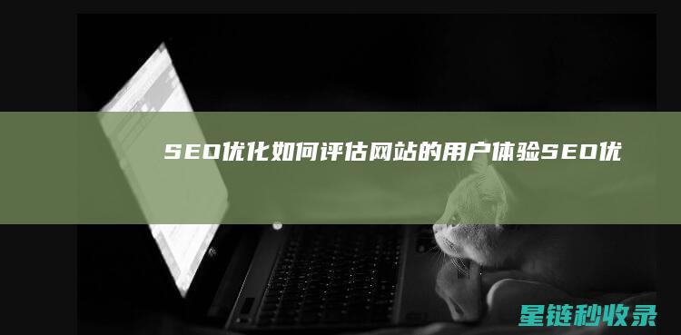 SEO优化：如何评估网站的用户体验 (SEO优化是什么意思)