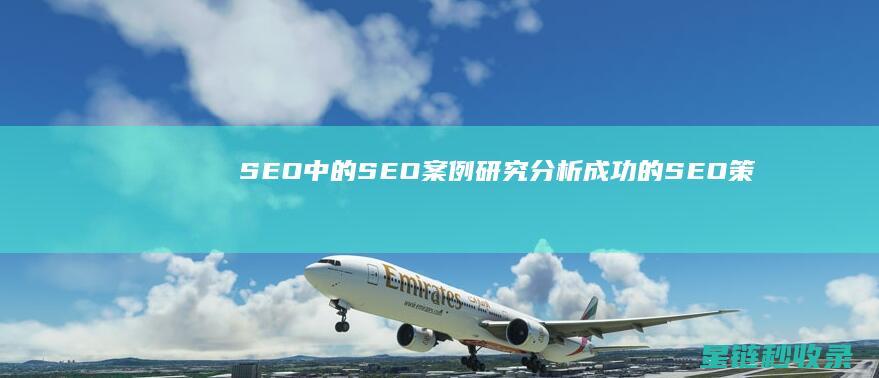 SEO中的SEO案例研究：分析成功的SEO策略 (SEO中的H标签是什么意思)