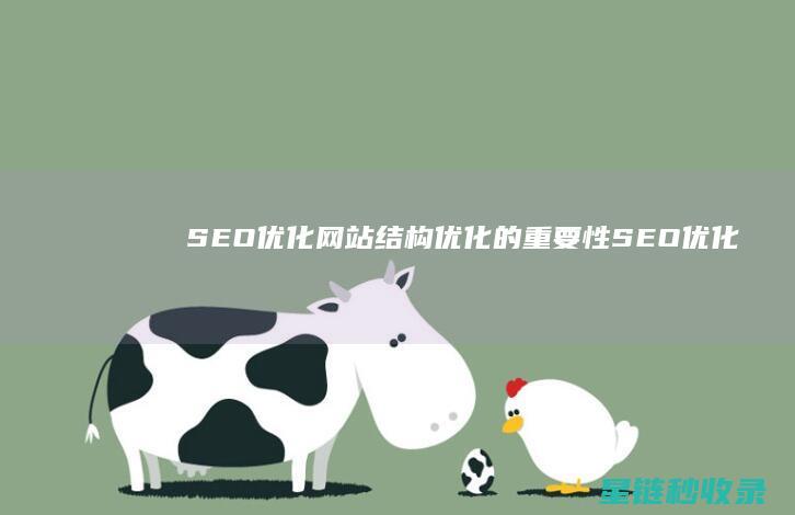 SEO优化：网站结构优化的重要性 (SEO优化是啥)