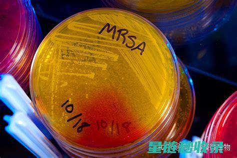 如何有效去除乐器按键上的污渍和指纹 (如何有效去除甲醛)