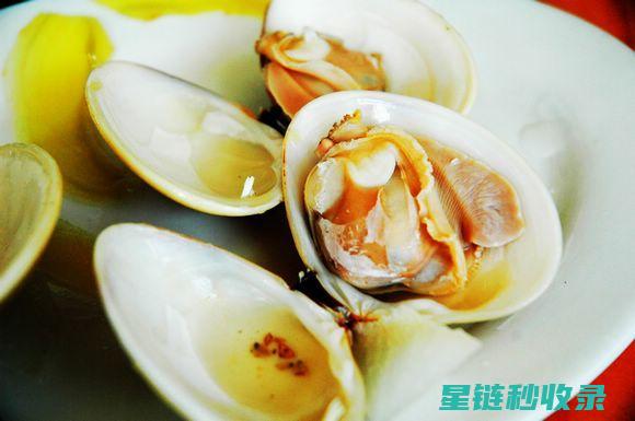 贝类为何频繁吐沙？揭秘其生存奥秘 (贝类为什么有壳)