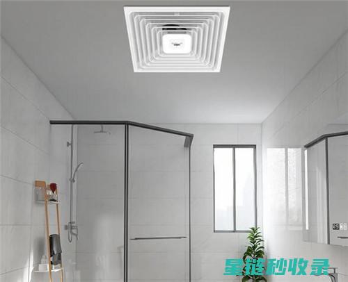 卫生间除臭？柚子皮是好帮手 (卫生间除臭最有效的方法)