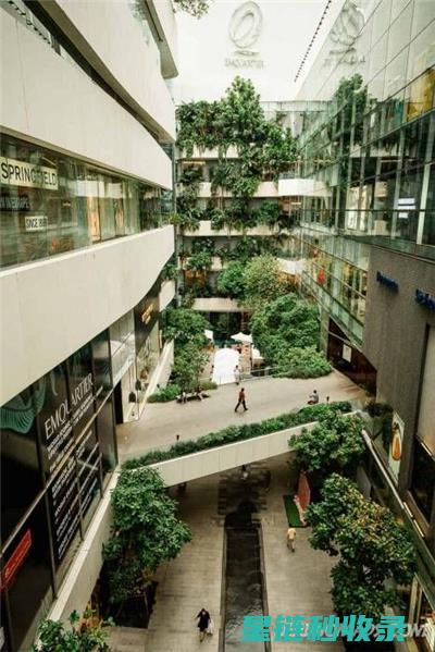 室内绿化的艺术：如何打造生机勃勃的家居环境 (室内绿化的艺术作品)