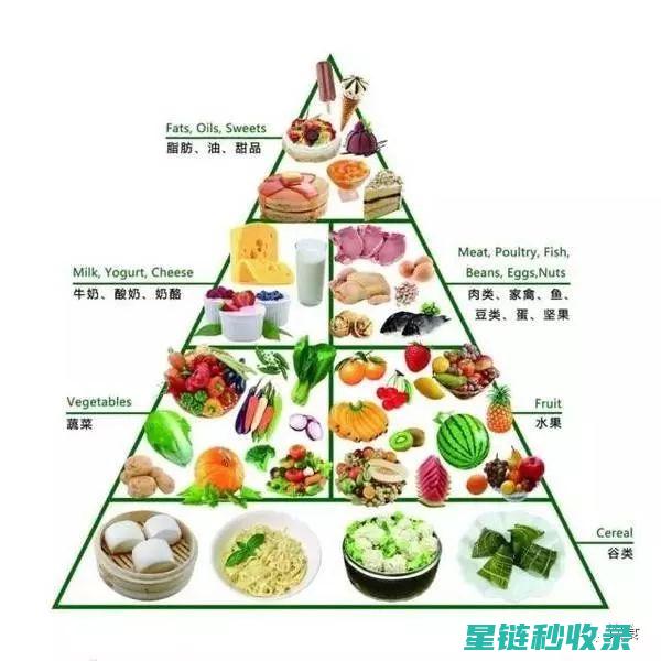 健康饮食攻略：轻松掌握科学膳食的关键要素 (健康饮食攻略大全)