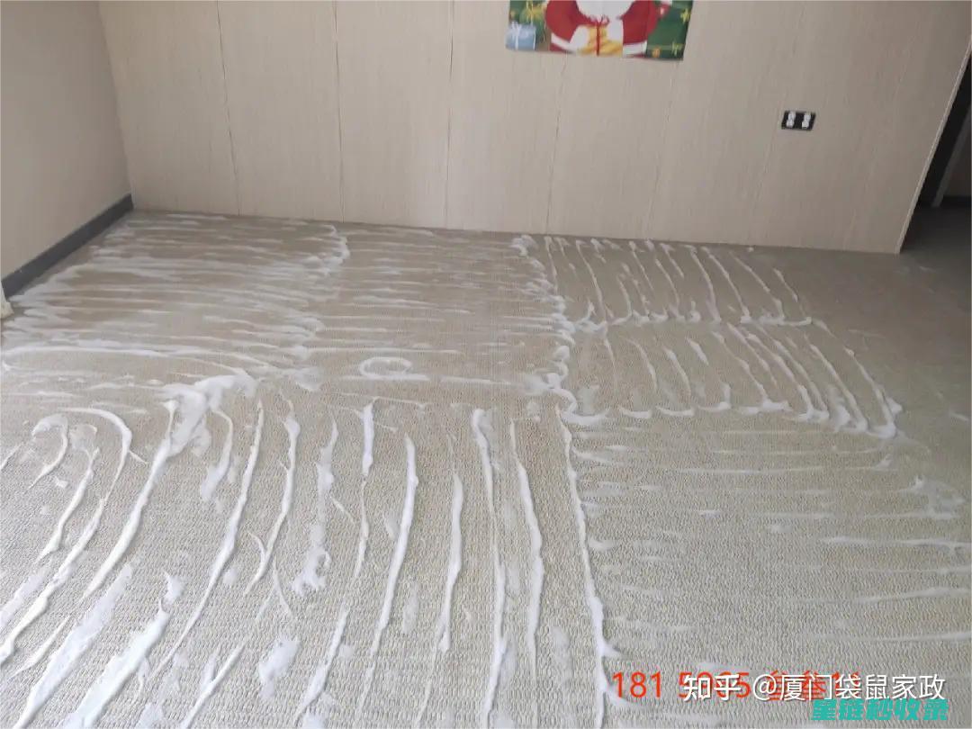 地毯污渍去除全攻略：快速有效的清洁方法大揭秘 (地毯污渍去除办法)