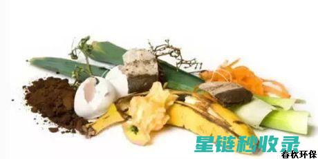 破解厨余垃圾除味难题：实用技巧全解析 (破解厨余垃圾的软件)