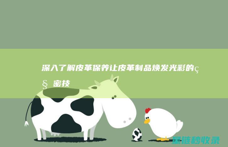深入了解皮革保养：让皮革制品焕发光彩的秘密技巧 (深入了解皮革的特点)