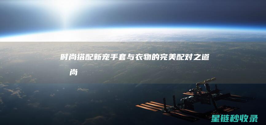 时尚搭配新宠：手套与衣物的完美配对之道 (时尚衣物搭配)