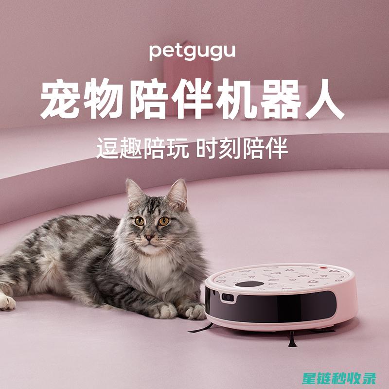 宠物毛发清理大作战：轻松应对毛发困扰的方法合集 (宠物毛发清理解决方案)