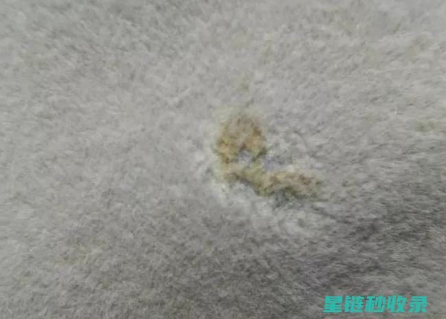 如何清洗毛绒玩具？这些技巧你必须知道 (如何清洗毛绒玩具不改变毛质感)