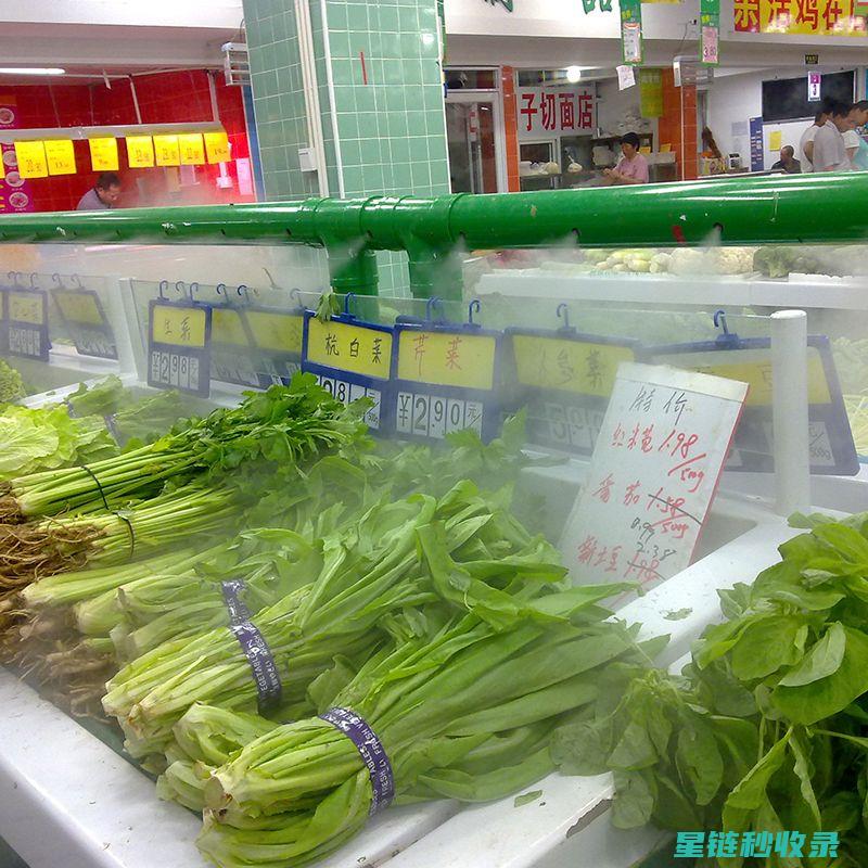 延长蔬菜保鲜期：这些方法让你的蔬菜更持久 (延长蔬菜保鲜期的植物激素)