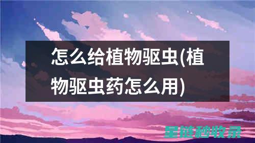 植物驱虫新趋势：为你的宠物创造一个无害虫的天堂 (植物驱虫新趋势有哪些)