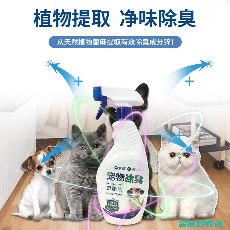 宠物异味去除：这些方法能让你的宠物成为家庭中的香饽饽 (宠物异味去除剂)