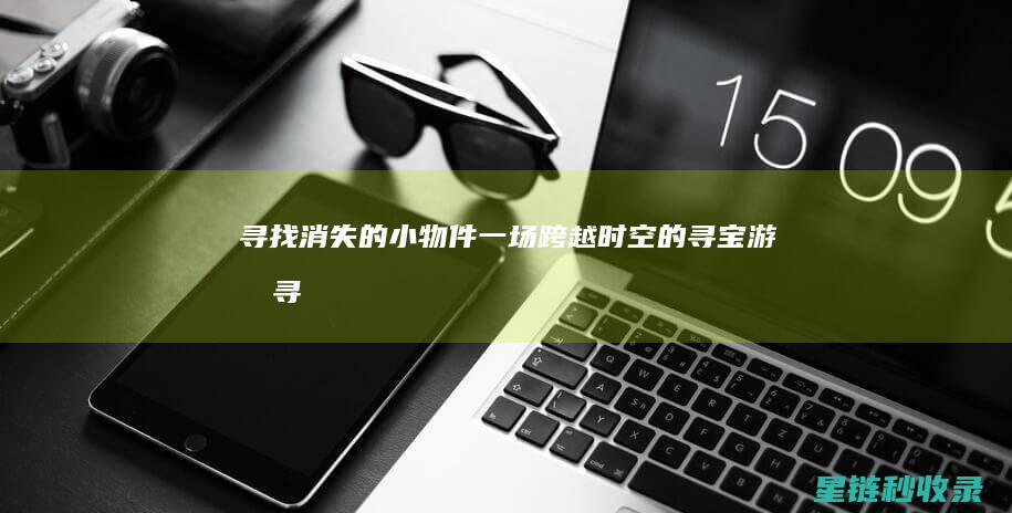 寻找消失的小物件：一场跨越时空的寻宝游戏 (寻找消失的小脸美人)