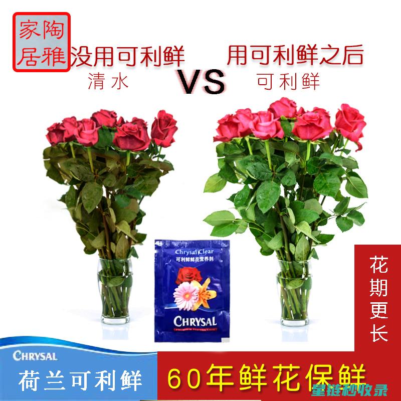 延长鲜花花期：施肥的最佳时机与方法 (延长鲜花花期的方法)