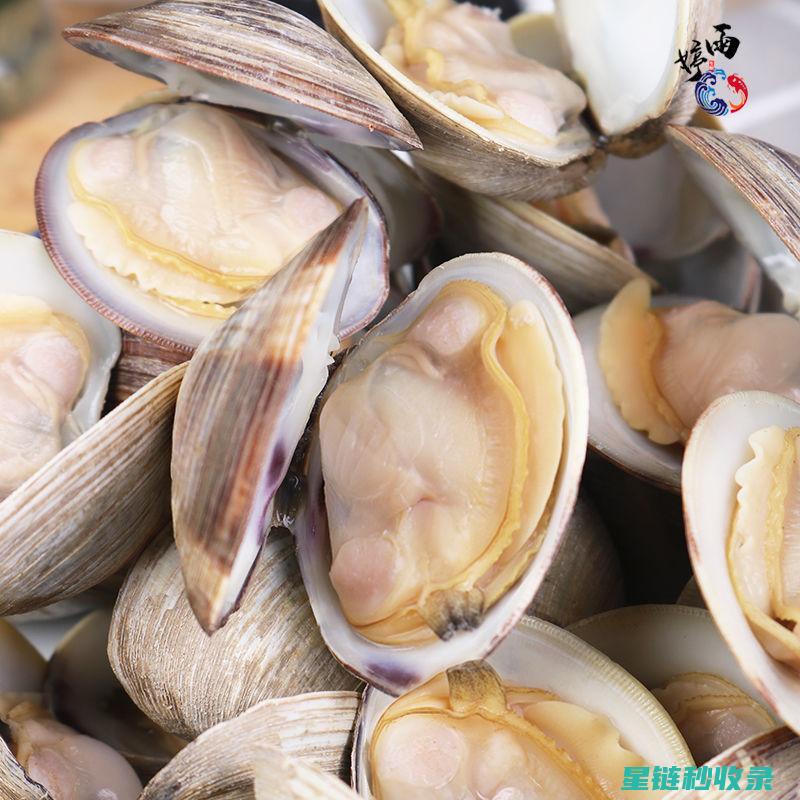 贝类吐沙：揭示海洋生物的生存策略 (贝类吐沙时,在水里放入什么会有奇效?)