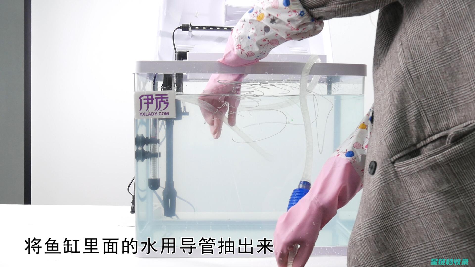 鱼缸清洁剂的选择：哪些适合你的水族箱？ (鱼缸清洁剂的成分)