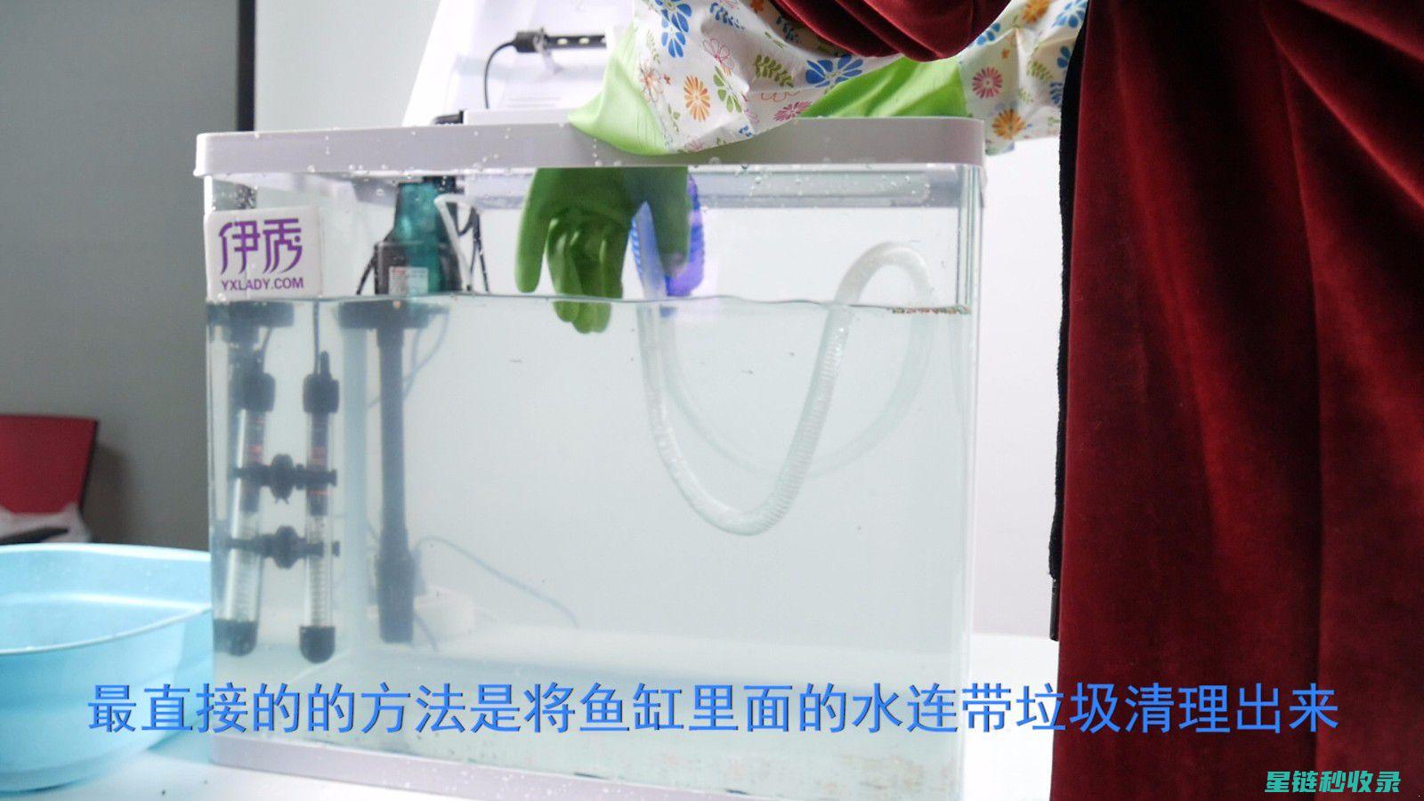 鱼缸清洁后的养护：保持水质稳定的技巧 (鱼缸清洁后的水变浑浊)